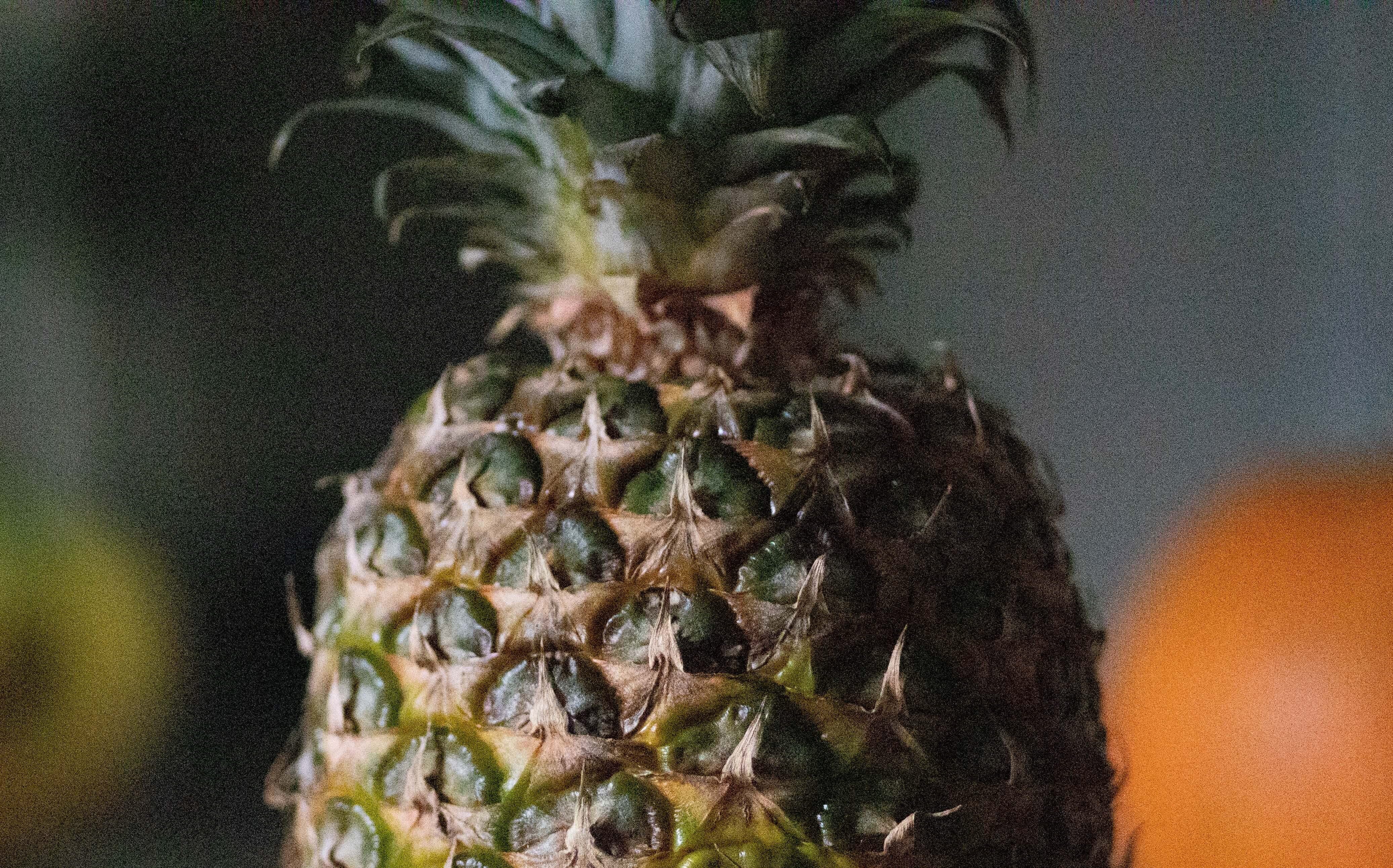 Displaying a pineapple with heavy grain due to using a really high ISO of 40,000