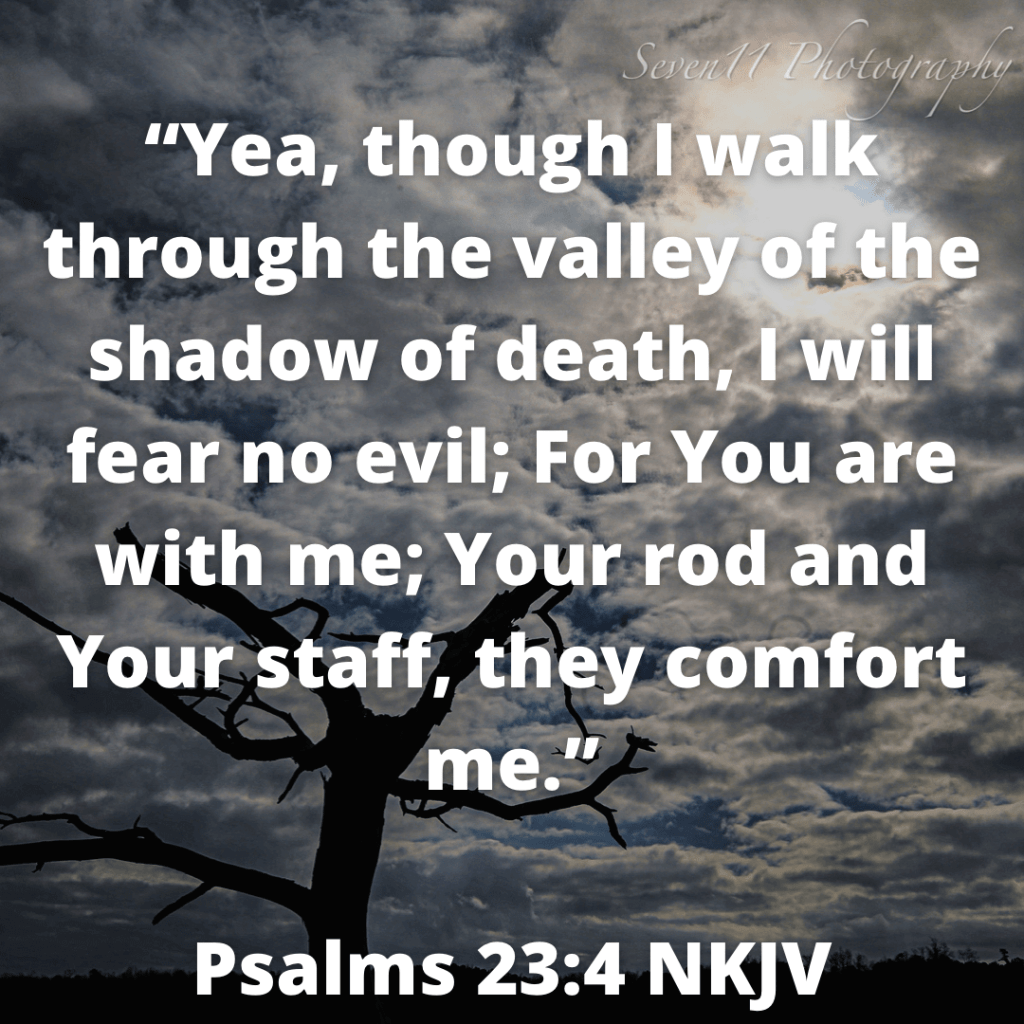 Bible, verse, loneliness, lonely, alone, comfort, God's comfort, psalms 23:4